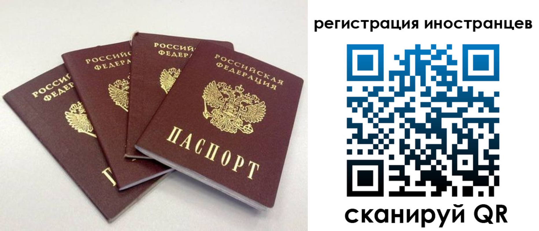 временная регистрация для школы в Калининграде